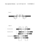 ELECTROFLUIDIC CHROMATOPHORE (EFC) DISPLAY APPARATUS diagram and image