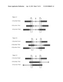 ELECTROFLUIDIC CHROMATOPHORE (EFC) DISPLAY APPARATUS diagram and image