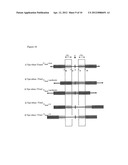 ELECTROFLUIDIC CHROMATOPHORE (EFC) DISPLAY APPARATUS diagram and image