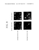 METHOD OF DETECTING PATTERN FORMED ON NON-EXPOSED SURFACE OF WORKPIECE diagram and image