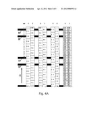 SCANNING METHOD AND DEVICE FOR OBTAINING GREY SCALE IMAGES diagram and image