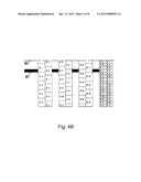 SCANNING METHOD AND DEVICE FOR OBTAINING GREY SCALE IMAGES diagram and image