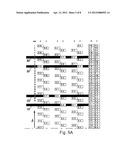 SCANNING METHOD AND DEVICE FOR OBTAINING GREY SCALE IMAGES diagram and image