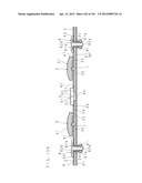 LIGHT SOURCE DEVICE AND DISPLAY DEVICE diagram and image