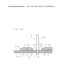 LIGHT SOURCE DEVICE AND DISPLAY DEVICE diagram and image