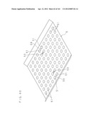 LIGHT SOURCE DEVICE AND DISPLAY DEVICE diagram and image