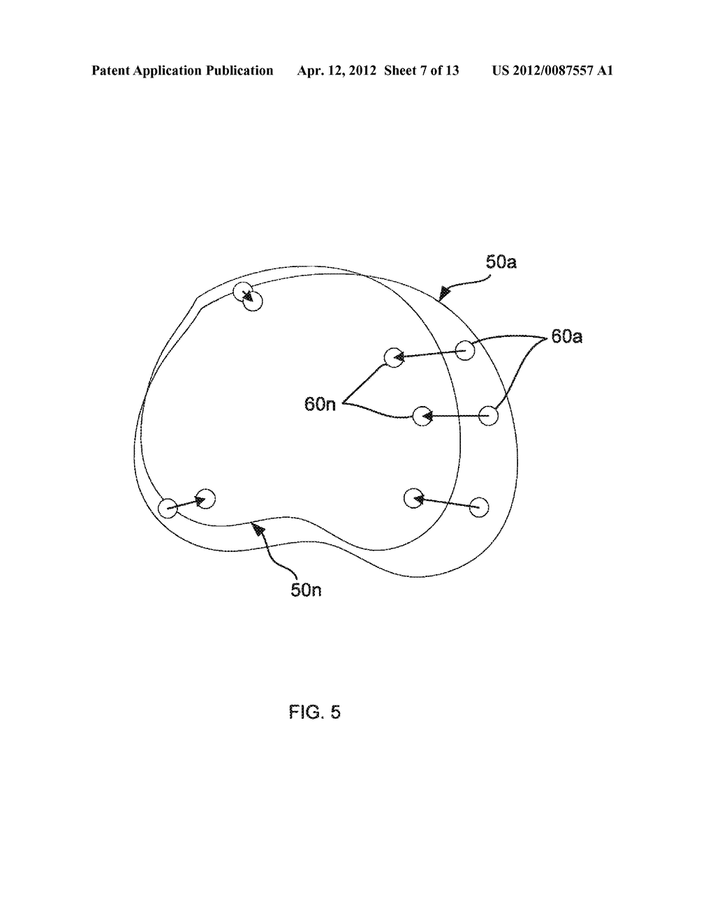 BIOPSY PLANNING AND DISPLAY APPARATUS - diagram, schematic, and image 08