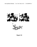 Use Of 2,5-Dihydroxybenzene Compounds And Derivatives For The Treatment Of     Skin Cancer diagram and image