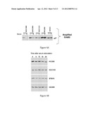 INHIBITION OF TRIM62 ACTIVITY REDUCES CANCER CELL PROLIFERATION diagram and image