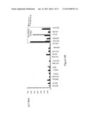 INHIBITION OF TRIM62 ACTIVITY REDUCES CANCER CELL PROLIFERATION diagram and image