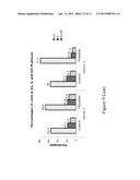 INHIBITION OF TRIM62 ACTIVITY REDUCES CANCER CELL PROLIFERATION diagram and image