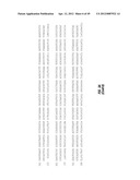 DR5 ANTIBODIES AND USES THEREOF diagram and image