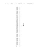 DR5 ANTIBODIES AND USES THEREOF diagram and image