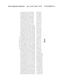 DR5 ANTIBODIES AND USES THEREOF diagram and image