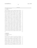 DR5 ANTIBODIES AND USES THEREOF diagram and image