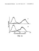 METHOD FOR THE TREATMENT OF INFLAMMATORY DISORDERS diagram and image