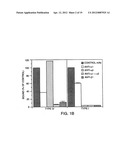 METHOD FOR THE TREATMENT OF INFLAMMATORY DISORDERS diagram and image