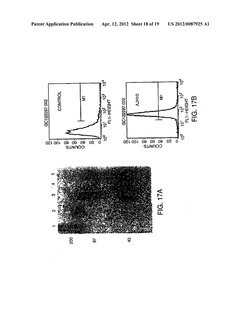 METHOD FOR THE TREATMENT OF INFLAMMATORY DISORDERS - diagram, schematic, and image 19