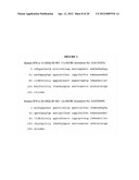 COADMINISTRATION OF ALPHA-FETOPROTEIN AND AN IMMUNOMODULATORY AGENT TO     TREAT MULTIPLE SCLEROSIS diagram and image