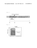 AGENT FOR PREVENTING ADVERSE SIDE EFFECTS OF CARCINOSTATIC AGENT diagram and image
