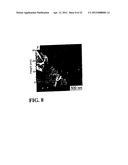 CONDUCTIVE CIRCUIT CONTAINING A POLYMER COMPOSITION CONTAINING THERMALLY     EXFOLIATED GRAPHITE OXIDE AND METHOD OF MAKING THE SAME diagram and image