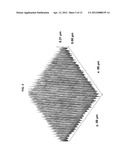 NANO-ARCHITECTURED CARBON STRUCTURES AND METHODS FOR FABRICATING SAME diagram and image