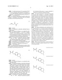  lithographic printing plate precursor diagram and image