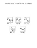 Biological Specimen Collection/Transport Compositions and Methods diagram and image