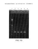 Biological Specimen Collection/Transport Compositions and Methods diagram and image