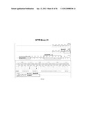 Methods and Systems for Sequential Determination of Genetic Mutations     and/or Varients diagram and image