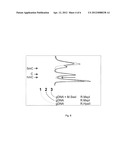 CONVERSION OF ALPHA-HYDROXYALKYLATED RESIDUES IN BIOMOLECULES USING     METHYLTRANSFERASES diagram and image