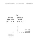 CONVERSION OF ALPHA-HYDROXYALKYLATED RESIDUES IN BIOMOLECULES USING     METHYLTRANSFERASES diagram and image