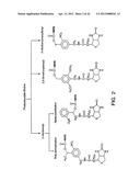 Bioreactive Agents diagram and image