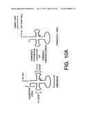 Bioreactive Agents diagram and image