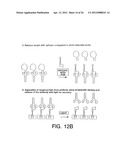 Bioreactive Agents diagram and image