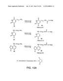 Bioreactive Agents diagram and image