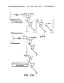 Bioreactive Agents diagram and image