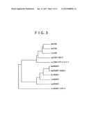 FACTOR TAKING PART IN TRANSCRIPTION CONTROL diagram and image