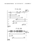 FACTOR TAKING PART IN TRANSCRIPTION CONTROL diagram and image