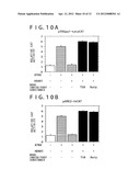 FACTOR TAKING PART IN TRANSCRIPTION CONTROL diagram and image