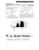 ASSAY FOR MONITORING ACTIVITY OF FRIZZLED RECEPTORS diagram and image