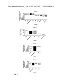 METHOD OF DIAGNOSING RENAL DISORDERS diagram and image