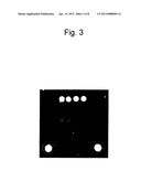 METHOD FOR DETECTING A POSITION OF PROBE ON MICROARRAY diagram and image