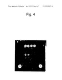 METHOD FOR DETECTING A POSITION OF PROBE ON MICROARRAY diagram and image