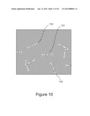 HIGHLY MULTIPLEXED REAL-TIME PCR USING ENCODED MICROBEADS diagram and image