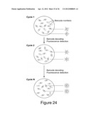 HIGHLY MULTIPLEXED REAL-TIME PCR USING ENCODED MICROBEADS diagram and image