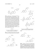 TETRALIN AND INDANE DERIVATIVES AND USES THEREOF diagram and image