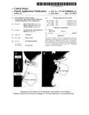 MEASUREMENT SYSTEM FOR EVALUATING THE SWALLOWING PROCESS AND/OR FOR     DETECTING ASPIRATION diagram and image