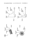 Specialty Stents with flow control features or the like diagram and image