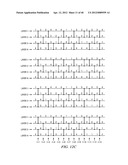 Parallel Window Algorithm diagram and image